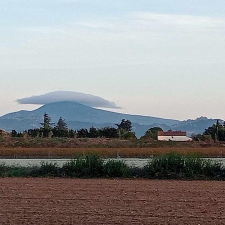 Chambre D'Hotes Les Garrigues Piolenc Екстер'єр фото