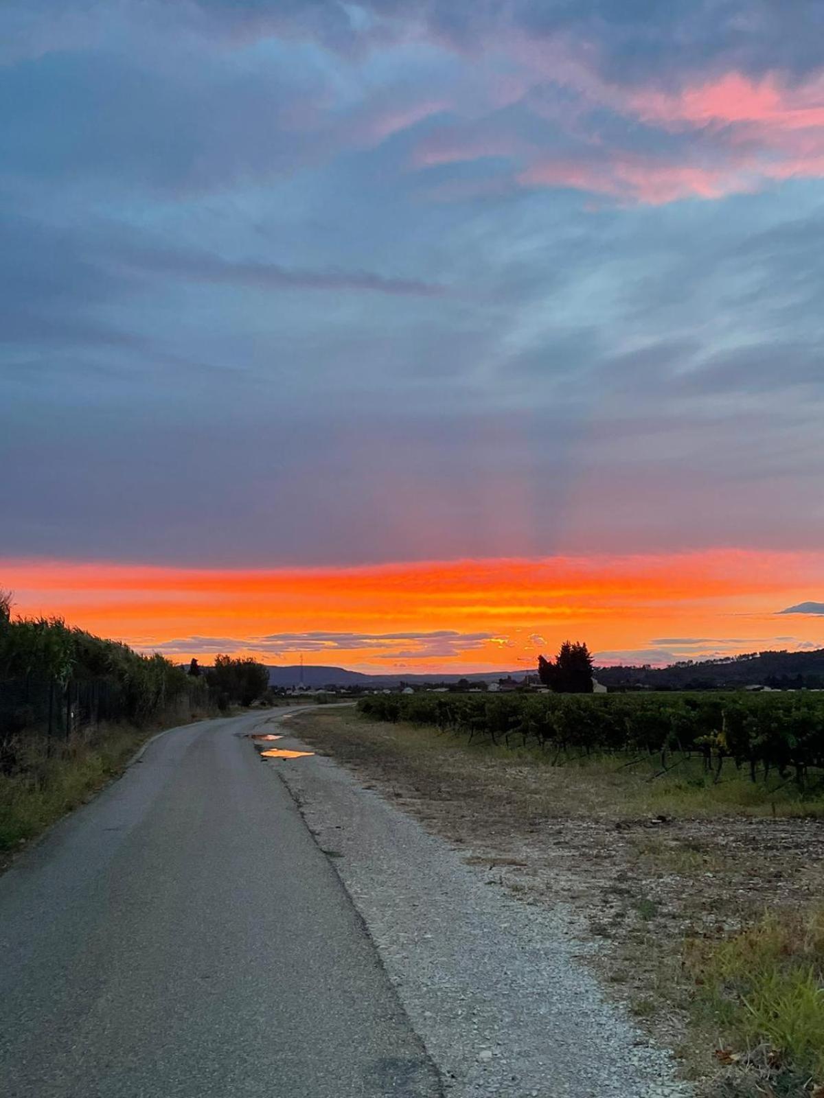Chambre D'Hotes Les Garrigues Piolenc Екстер'єр фото